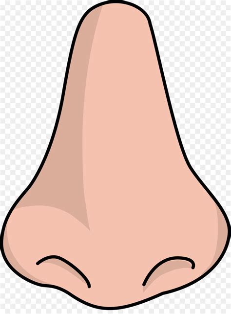 Download animated moving cliparts and use any clip art,coloring,png graphics in your website, document or presentation. Nose clipart cute nose, Nose cute nose Transparent FREE ...