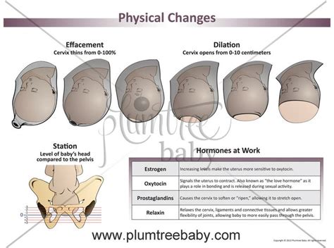 Physical Changes Posters