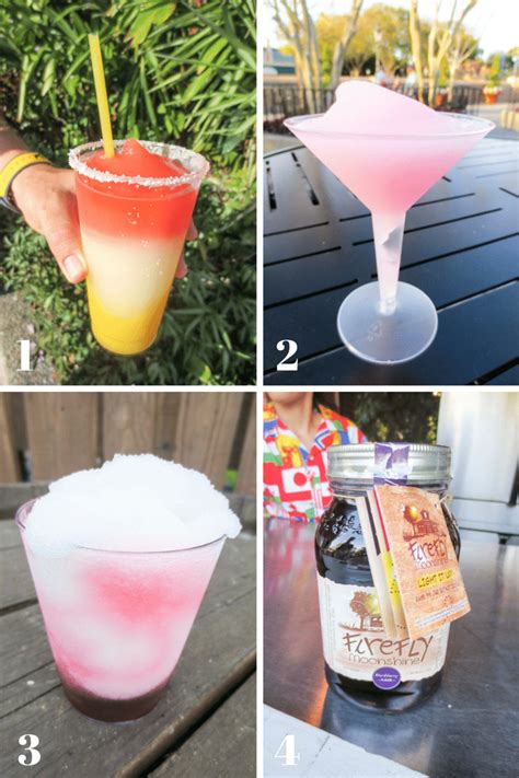 Best Drinks At The Epcot Flower And Garden Festival