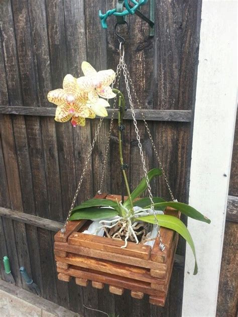 Orchid Hanging Wood Basket Orquideas