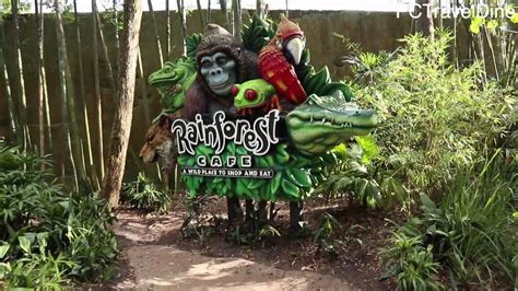 Disney World Animal Kingdom The Rainforest Cafe Orlando Florida