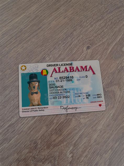 Alabama Driver License You Can Buy Here