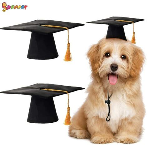 Spencer 2pcs Small Dog Graduation Black Hats Pet Puppy Graduation Caps