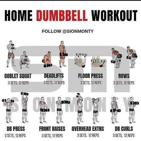 No Excuses Get Those Reps In Dumbell Workout Dumbbell Workout At