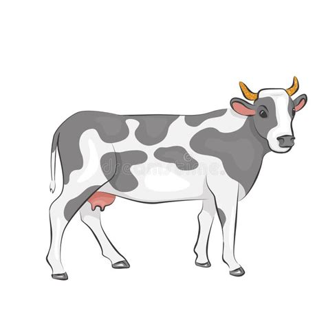 white cow black spots golden horns stock illustrations 3 white cow black spots golden horns