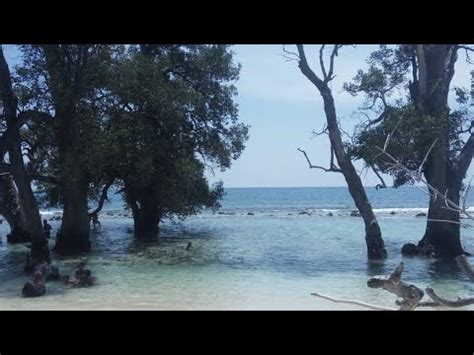 Enjoy menonton dengan suara musik relaksasi yang menenangkan Indahnya pantai wisata di aceh - YouTube