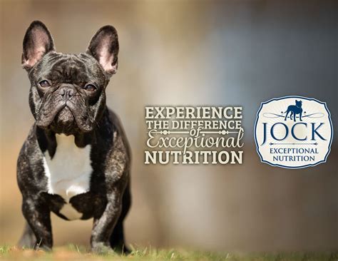 Using the meal calculator below is an incredible time saver and a cooking partner of sorts. Know Your Breed: French Bulldog - JOCK Dog Food