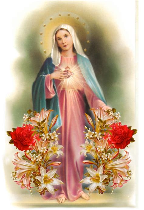 Download Best Immaculate Heart Of Mary Image By Christopherb