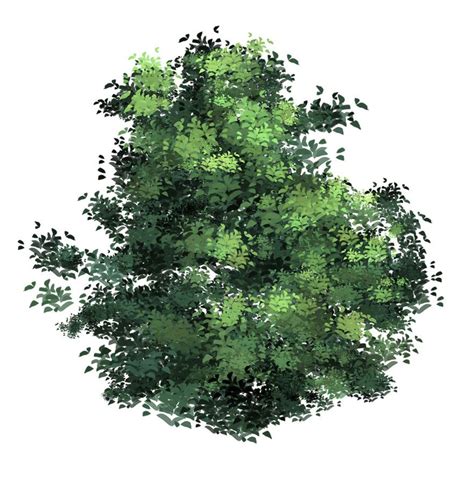 Anime Type Treeleaves Brush Xd Tree Photoshop Tree Plan Photoshop