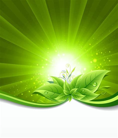 Green Leaves on Burst Background Vector Illustration | Free Vector