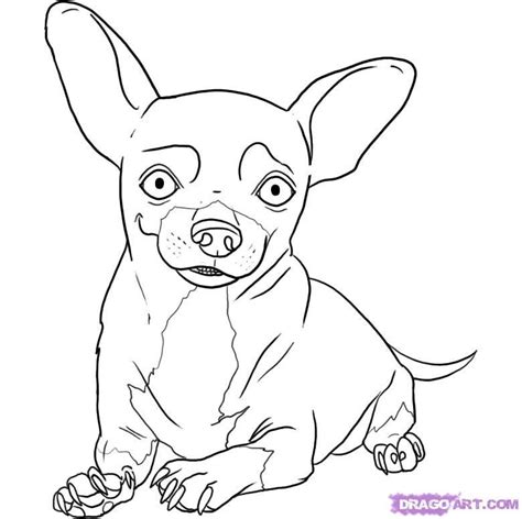 Chihuahua Coloring Pages Coloring Home