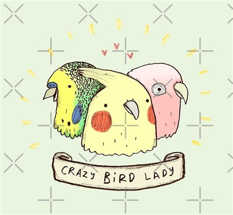 Crazy Bird Lady By Sophie Corrigan Redbubble