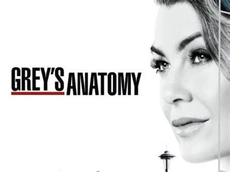 Ltima Temporada De Greys Anatomy Noticias Importantes