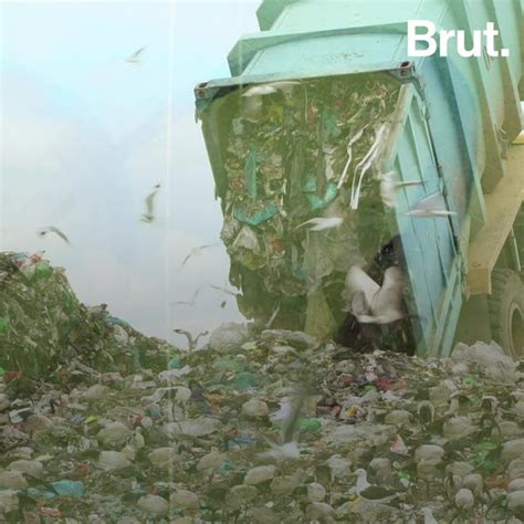 Where Does Our Garbage End Up Brut