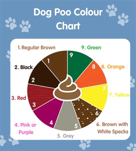 Dog Poop Color Chart Find Out What Each Color Means The Dog Poop