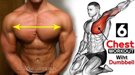 How To Build Chest Muscles Fast With Dumbbells تمارين الصدرً كمال