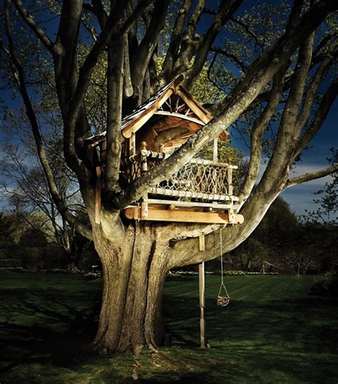 Pin By Fred On Treehouse Tree House Cool Tree Houses Woodland House