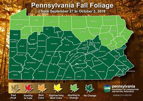 Pennsylvania Fall Foliage Report Not Yet Time For Leaf Peeping