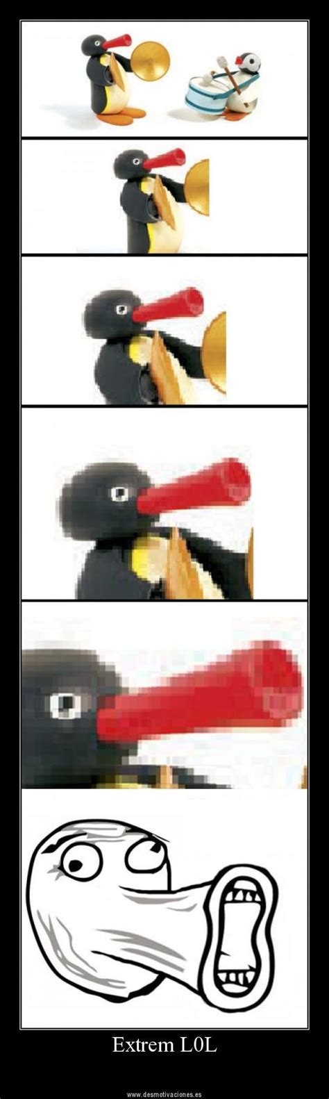 Epic Pingu Lol Lol Guy Know Your Meme