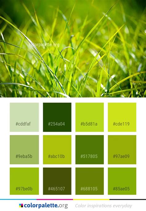Grass Green Vegetation Color Palette