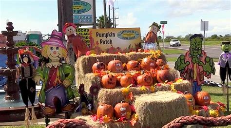 Time To Visit The Pumpkin Patch At Latitude 29 Surf Shop In Crystal