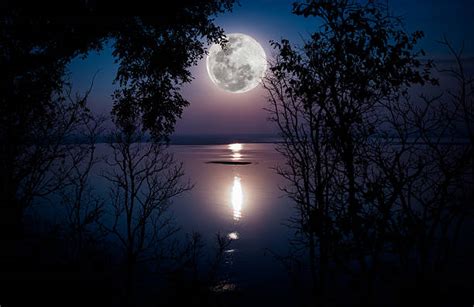 Moonlight Stock Photos Pictures And Royalty Free Images Istock