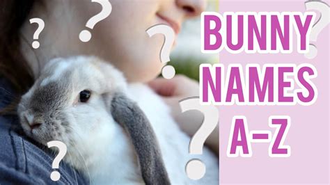 What To Name My New Bunny ~ Cute Bunny Names A Z List