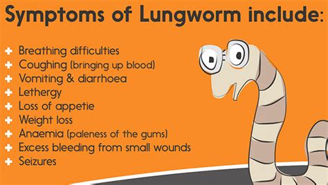 Lungworm Crown Vets