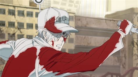 Share White Blood Cells Anime Super Hot In Cdgdbentre