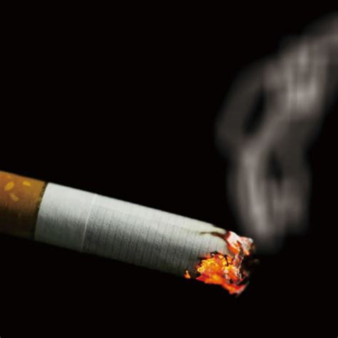 Meliputi rokok dan produk tembakau lainnya yang penggunaannya terutama dengan cara dibakar . Membuat Efek asap pada Rokok dengan CorelDRAW | DODO GRAFIS