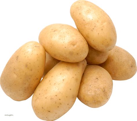 Potato Png Potato Png Cliparts All These Png Images Has No