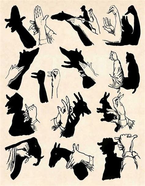 Pin By Christa Helling On Erinnerungen Hand Shadows Shadow Puppets