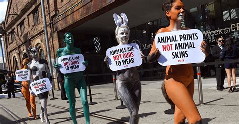 Peta Asked People To Stop Using Anti Animal Phrases 22w