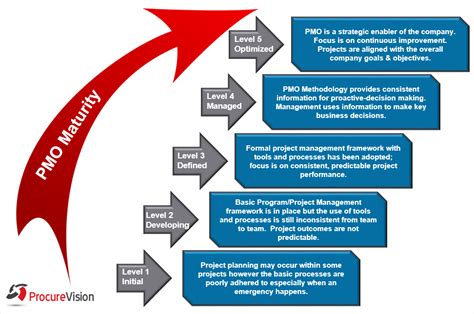 An Introduction To Pmo Maturity Assessments Procurevision Llc