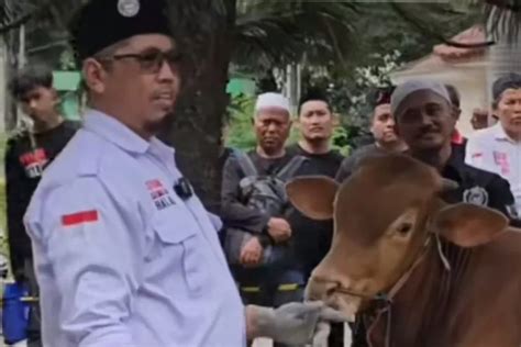 Ini Penting Panitia Dan Jagal Hewan Kurban Hari Raya Idul Adha Harus