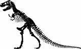 Dinosaur Fossil Template Pictures
