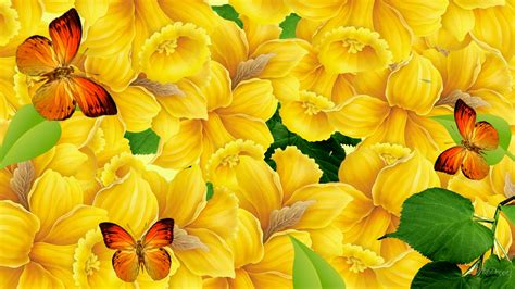 48 Colorful Butterfly Wallpaper On Wallpapersafari