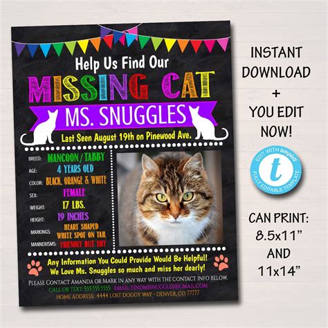 Lost Cat Template Flyer