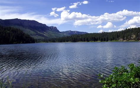 Interpretation of a dream in which you saw «Lake»