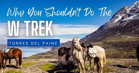 9 Reasons Why You Shouldnt Do The W Trek In Torres Del Paine Going