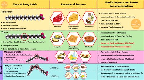 Explain The Different Types Of Fats