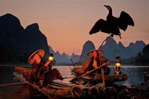Cormorant Fishermen At Dusk Li River Guilin China Dan Ballard