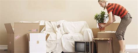 Whether it is bed bugs, ants if the pests arise as a result of natural conditions, it is up to the landlord to pay in nearly all situations. End of lease flea treatment for flea control in WA rental ...