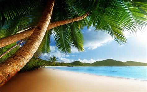 Animated Beach Relaxing And Fun Animations Of Your Favorite Vacation Spot