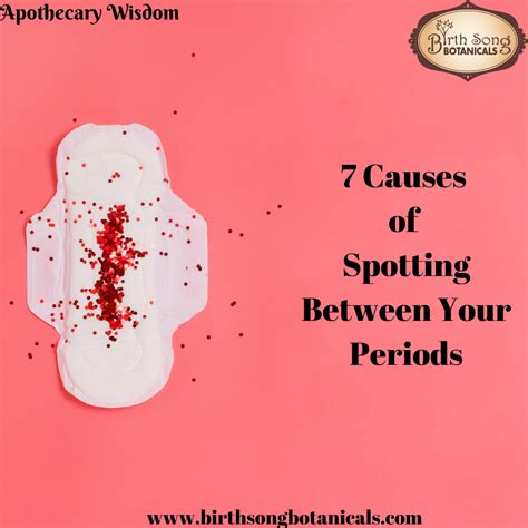7 Common Causes Of Period Spotting Birth Song Botanicals Co
