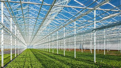Effective Heat Solar Control Double Glazing Glazed Low E Insulated Glass Greenhouse Manufacturer