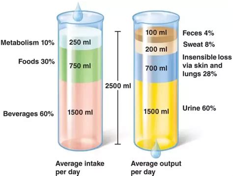 Get the truth about how much water you should drink a day. Week 9: Are you Drinking Enough? - Real food for real people