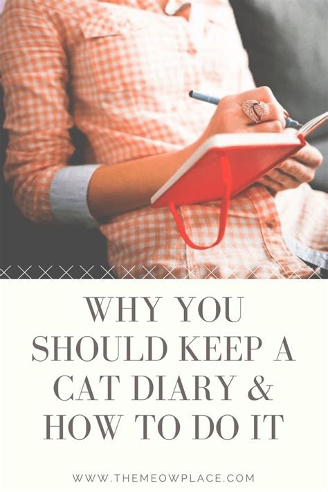 What Is A Cat Diary And How To You Keep One Cat Diaries Can Be Useful
