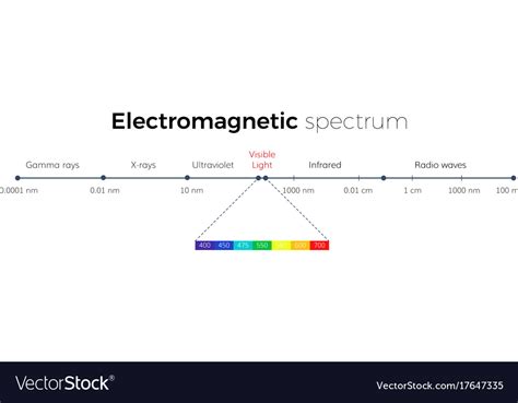 Electromagnetic Spectrum Scale Royalty Free Vector Image