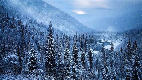 Nature Landscape Mist Forest Mountain River Snow Winter Cold Alaska